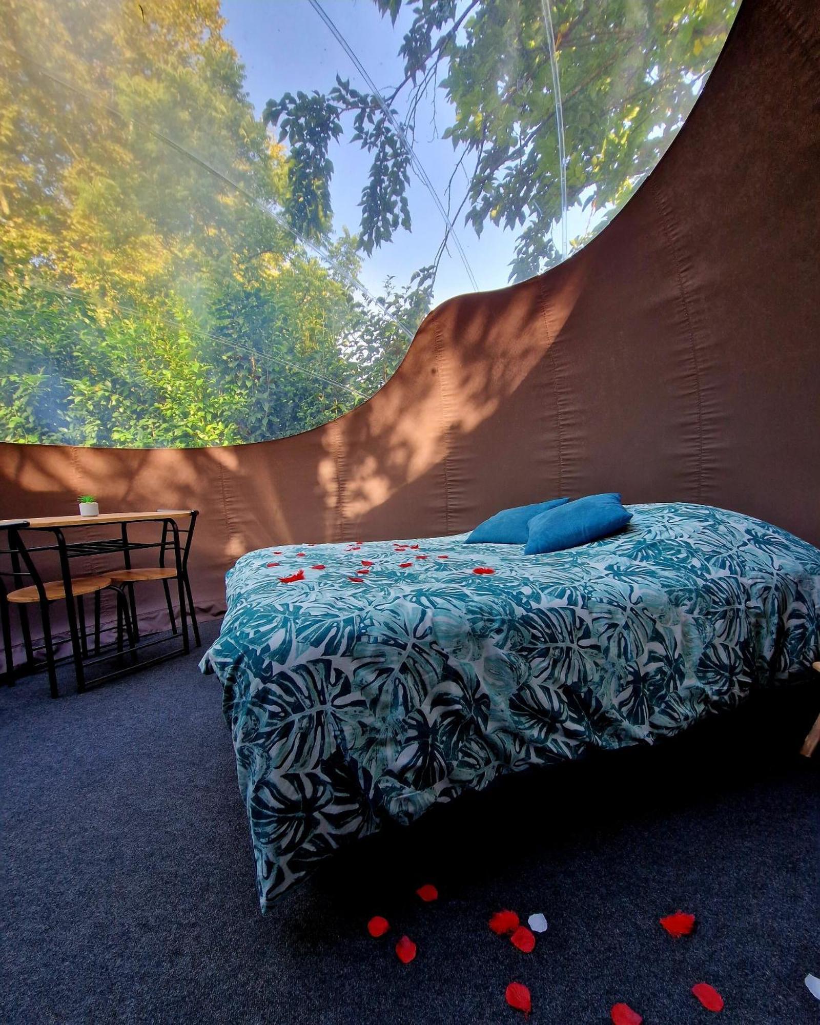 Les Nuits De Cassiopee Bed & Breakfast Sorde-l'Abbaye Phòng bức ảnh